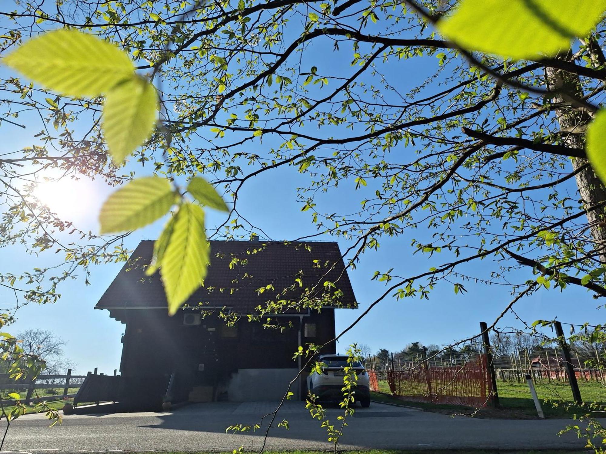 Logarska Koca Villa Fokovci Dış mekan fotoğraf